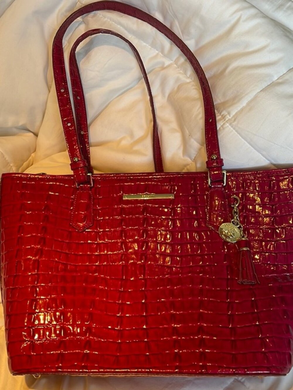 Authentic Pink Brahmin Asher Medium Tote - WOW! - Picture 2 of 5